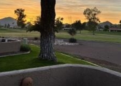 7424 N Via Camello Del Norte - - Photo 1