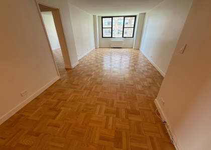 333 East 49th Street - Photo 1
