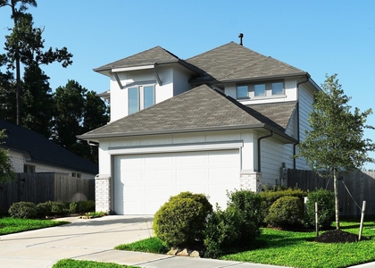 3130 Rising Fir Lane - Photo 1