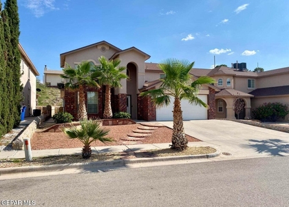 7334 Prickley Pear Drive - Photo 1