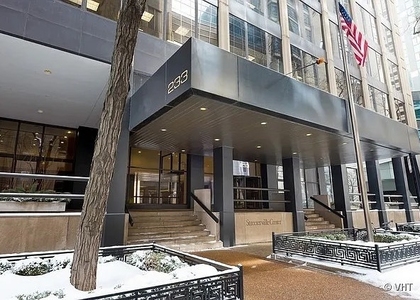 233 E Erie Street - Photo 1