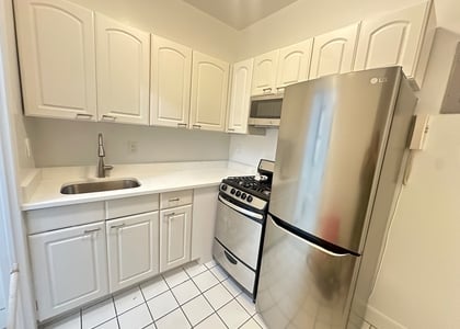 516 East 80th Street - Photo 1