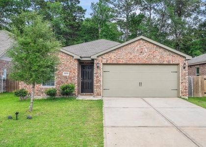 10619 Lost Maples Drive - Photo 1