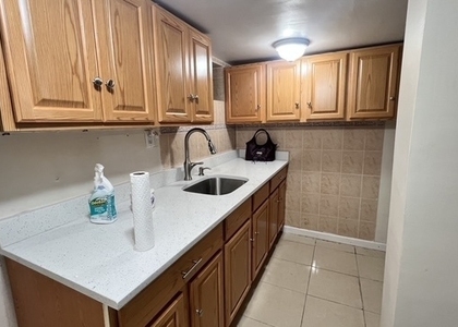 1043 East 14 Street - Photo 1