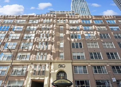 540 N Lake Shore Drive - Photo 1