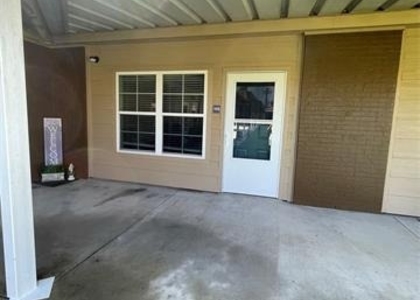 1119 Martin Luther King Boulev - Photo 1