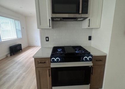 51 Marion Street - Photo 1