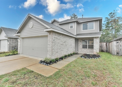 3707 Solanum Drive - Photo 1