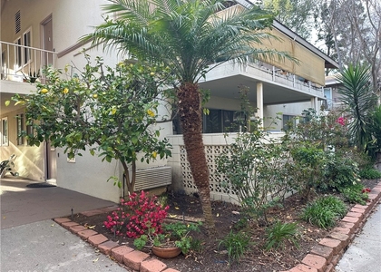 163 Avenida Majorca - Photo 1