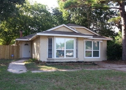 6705 Dinner Creek Court - Photo 1