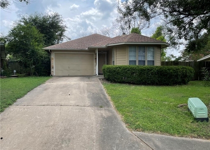 16719 Whitebrush Loop - Photo 1