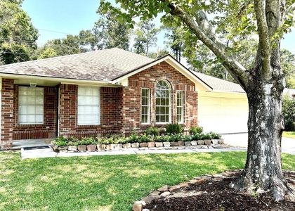 4219 Hermitage Hollow Lane - Photo 1