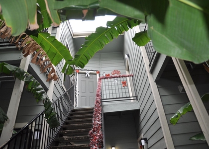 3754 Tanglewilde Street - Photo 1