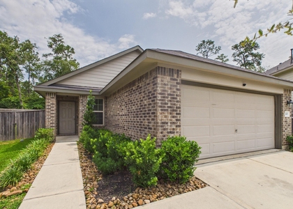 1300 Winding Willow Drive - Photo 1