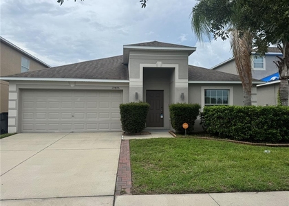 10405 Summer Azure Drive - Photo 1