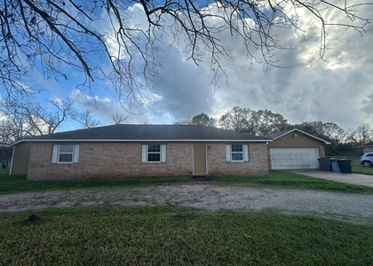 1119 County Road 481 - Photo 1