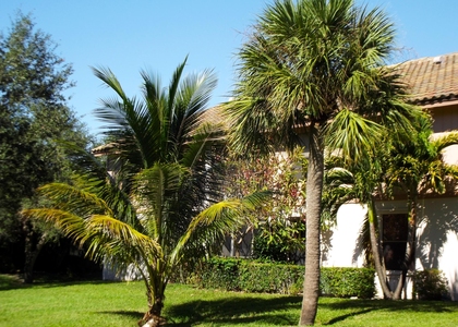 3355 Jaywood Terrace - Photo 1