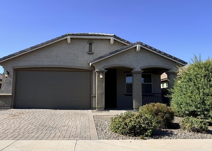41320 W Palmyra Lane - Photo 1
