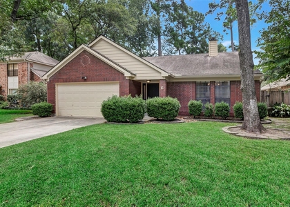 6 Green Slope Place - Photo 1