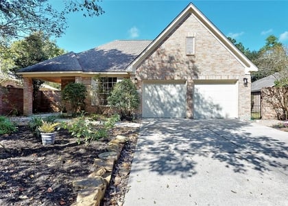 3 Gingerwilde Place - Photo 1