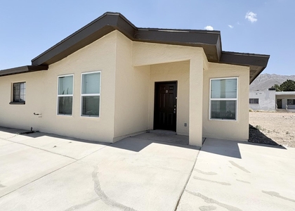 8503 Leo Street - Photo 1