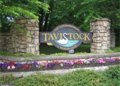 272 Tavistock - Photo 1