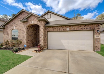 2009 Cedar Branch Drive - Photo 1