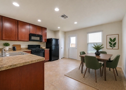 1315 Pease River Lane - Photo 1