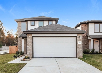 10703 Sunlit Street - Photo 1