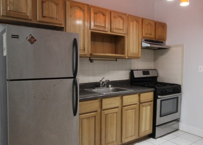 828 Halsey St 11233 - Photo 1