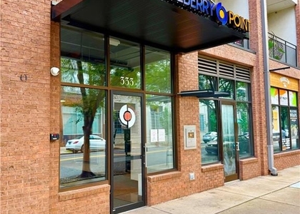 333 Nelson Street Sw - Photo 1