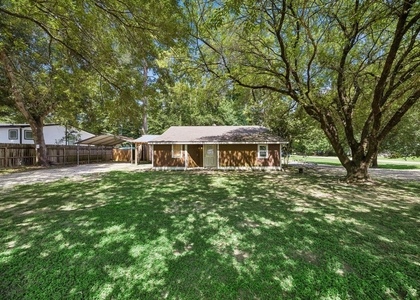 21197 Live Oak Street - Photo 1