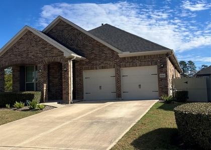 10442 Eastern Bluestar Drive - Photo 1