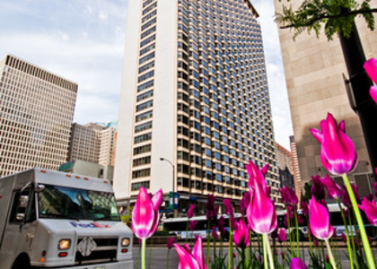 535 N Michigan Avenue - Photo 1