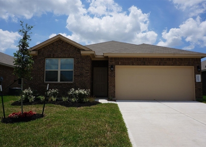 20911 Iris Bloom Street - Photo 1
