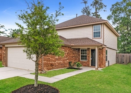 3217 Chunk Court - Photo 1