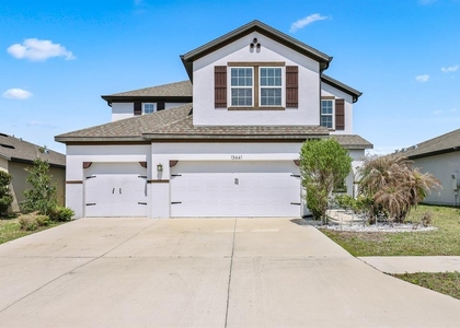 13441 Palmera Vista Drive - Photo 1