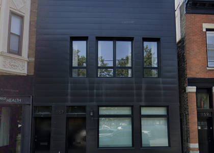 1157 W Webster Avenue - Photo 1
