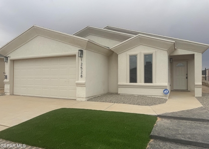 12528 Polo Norte Drive - Photo 1