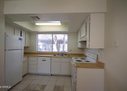 10815 N 15th Lane - Photo 1