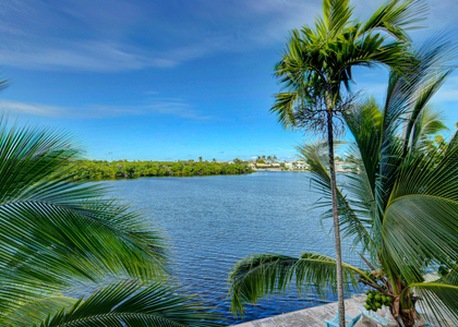 6520 N Ocean Boulevard - Photo 1