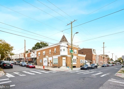 4223 Manayunk Avenue - Photo 1