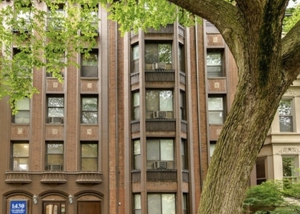 1430 N Dearborn Parkway - Photo 1