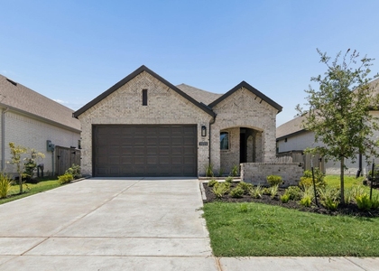 11223 Common Hackberry Street - Photo 1