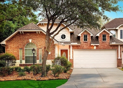 46 Patina Pines Court - Photo 1