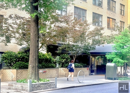 East 49 Street - Photo 1