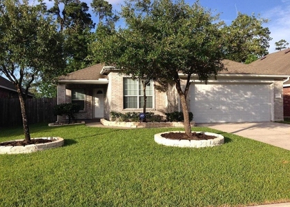 14118 Seagler Springs Lane - Photo 1