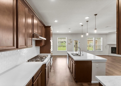 3850 Chapman Bluff Drive - Photo 1