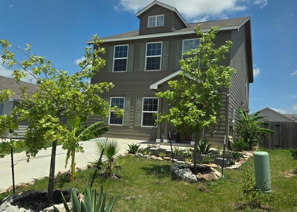 253 Texas Angel Way - Photo 1