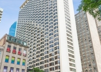 535 N Michigan Avenue - Photo 1